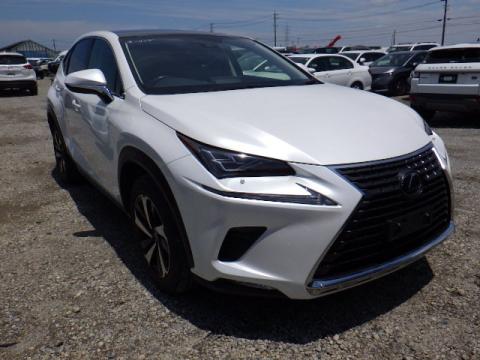Lexus NX 300